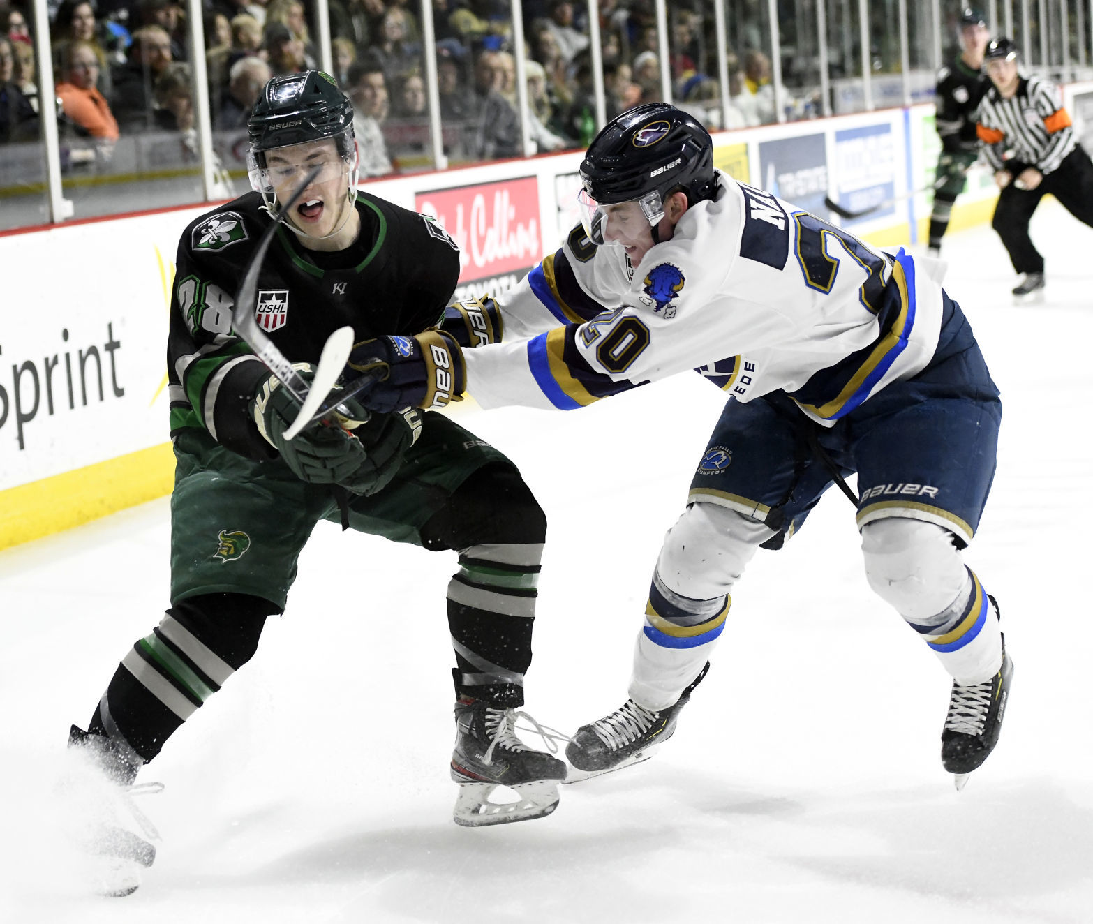 Musketeers defeat Stampede